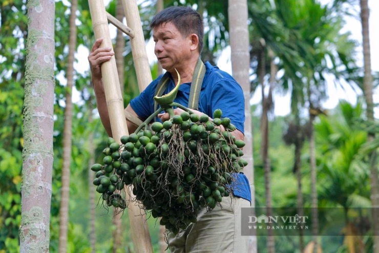 Mô hình nông nghiệp bền vững không chỉ làm giàu cho cá nhân mà còn tạo giá trị cho cộng đồng xung quanh.