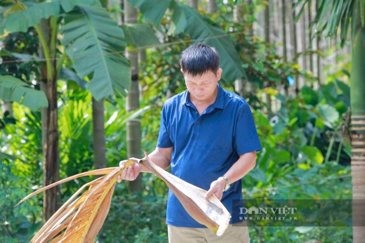 Mọi bộ phận của cây cau đều được ông Dũng tận dụng để tạo ra giá trị tài chính.