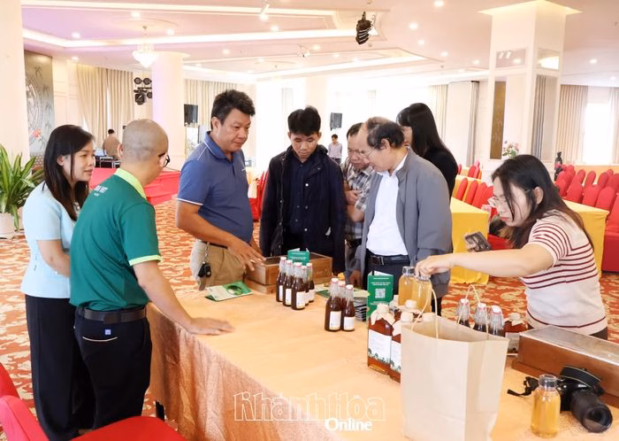 Các đại biểu trực tiếp đánh giá tiềm năng các dự án khởi nghiệp tại chung kết Cuộc thi Khởi nghiệp đổi mới sáng tạo Khánh Hòa năm 2025.